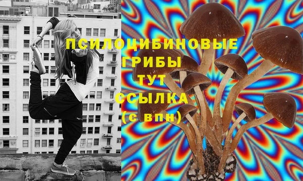 ECSTASY Бронницы